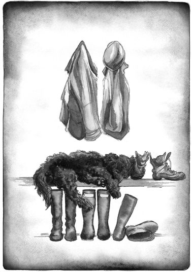 Иллюстрация к книге — Как я стал псом по кличке Сумрак [i_011.jpg]