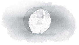 Иллюстрация к книге — Как я стал псом по кличке Сумрак [i_013.jpg]