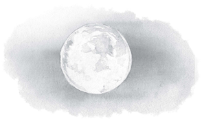 Иллюстрация к книге — Как я стал псом по кличке Сумрак [i_017.jpg]