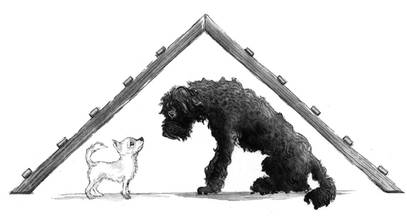 Иллюстрация к книге — Как я стал псом по кличке Сумрак [i_018.jpg]