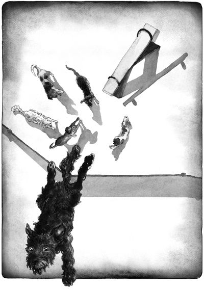 Иллюстрация к книге — Как я стал псом по кличке Сумрак [i_019.jpg]