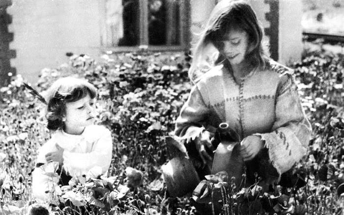 Иллюстрация к книге — Встань и иди. Иначе нельзя [i_021.jpg]