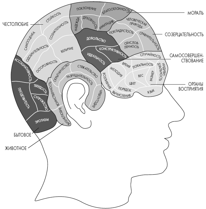 Иллюстрация к книге — Развивай свой мозг. Как перенастроить разум и реализовать собственный потенциал [i_023.jpg]