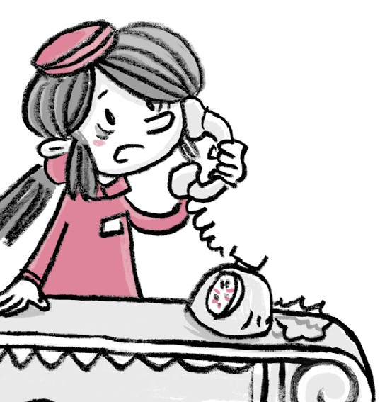 Иллюстрация к книге — Отель «Фламинго». Все на карнавал! [i_027.jpg]