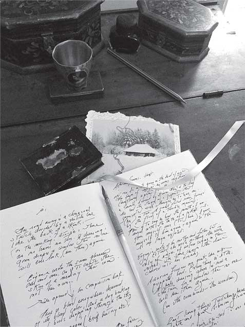 Иллюстрация к книге — Преданность. Год Обезьяны [i_001.jpg]