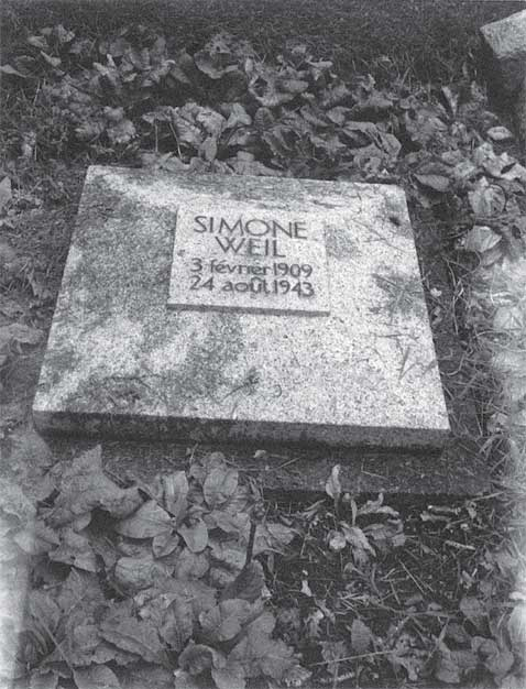 Иллюстрация к книге — Преданность. Год Обезьяны [i_007.jpg]