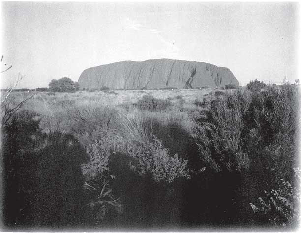 Иллюстрация к книге — Преданность. Год Обезьяны [i_026.jpg]