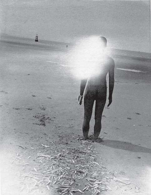 Иллюстрация к книге — Преданность. Год Обезьяны [i_032.jpg]