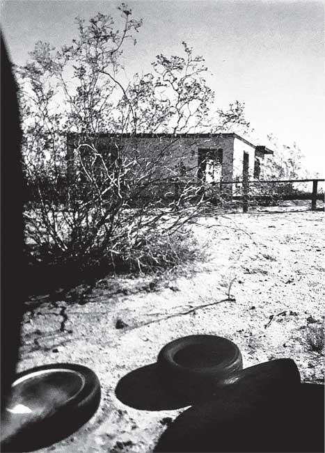 Иллюстрация к книге — Преданность. Год Обезьяны [i_034.jpg]