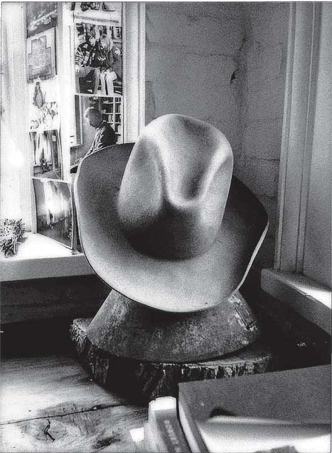 Иллюстрация к книге — Преданность. Год Обезьяны [i_037.jpg]