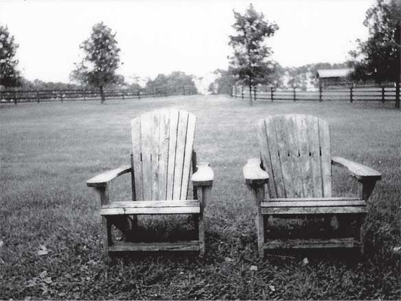 Иллюстрация к книге — Преданность. Год Обезьяны [i_038.jpg]