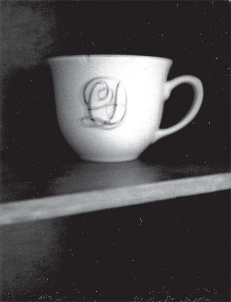 Иллюстрация к книге — Преданность. Год Обезьяны [i_040.jpg]