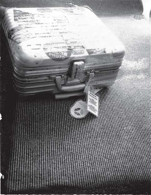 Иллюстрация к книге — Преданность. Год Обезьяны [i_042.jpg]