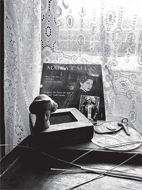 Иллюстрация к книге — Преданность. Год Обезьяны [i_046.jpg]