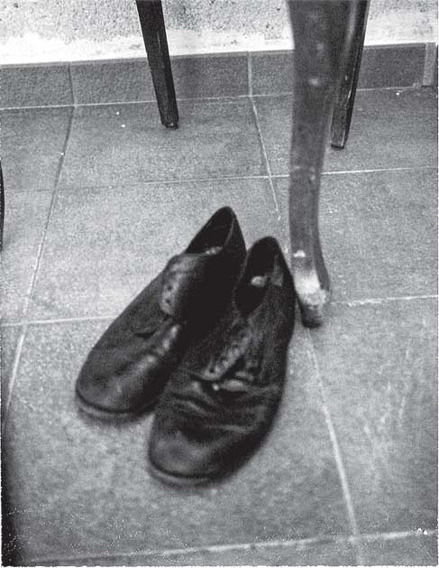 Иллюстрация к книге — Преданность. Год Обезьяны [i_048.jpg]