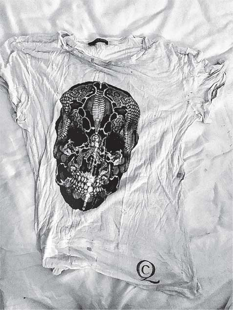 Иллюстрация к книге — Преданность. Год Обезьяны [i_051.jpg]