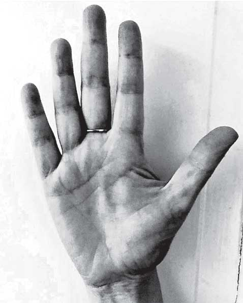 Иллюстрация к книге — Преданность. Год Обезьяны [i_057.jpg]