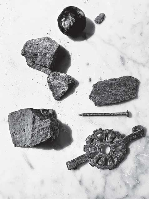 Иллюстрация к книге — Преданность. Год Обезьяны [i_062.jpg]