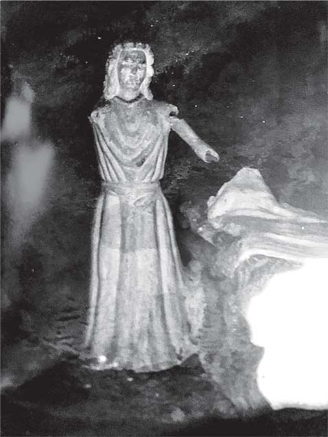 Иллюстрация к книге — Преданность. Год Обезьяны [i_065.jpg]