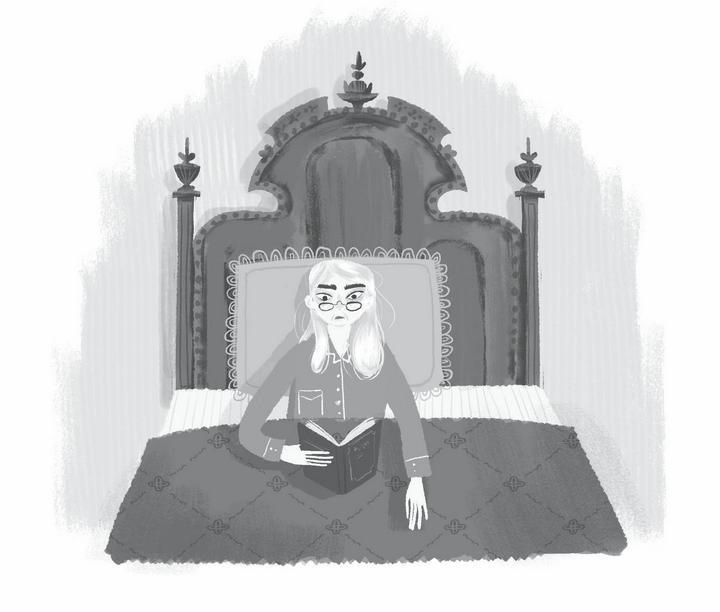 Иллюстрация к книге — Диковинные загадки отеля «Зимний дом» [i_008.jpg]