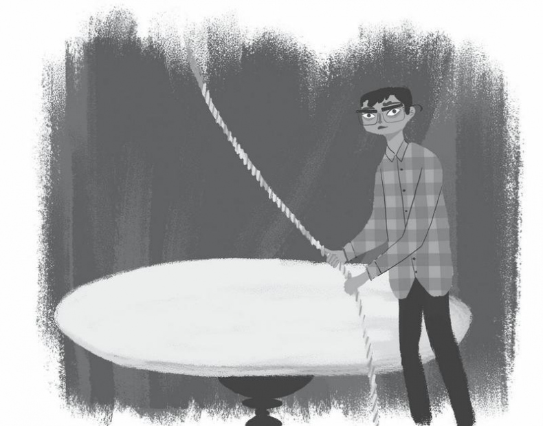 Иллюстрация к книге — Диковинные загадки отеля «Зимний дом» [i_022.jpg]