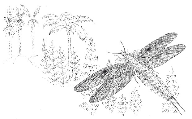 Иллюстрация к книге — Краткая история динозавров [i_015.jpg]