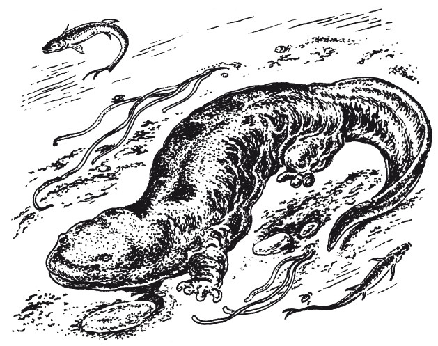 Иллюстрация к книге — Краткая история динозавров [i_022.jpg]