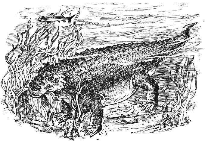 Иллюстрация к книге — Краткая история динозавров [i_027.jpg]