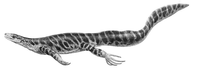 Иллюстрация к книге — Краткая история динозавров [i_033.jpg]