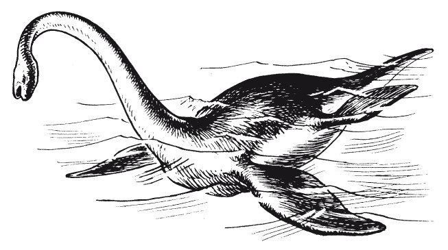 Иллюстрация к книге — Краткая история динозавров [i_036.jpg]