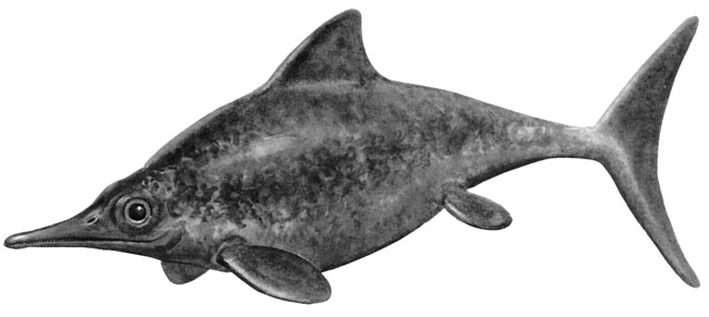 Иллюстрация к книге — Краткая история динозавров [i_047.jpg]