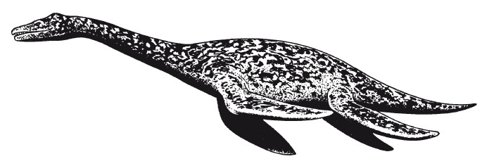 Иллюстрация к книге — Краткая история динозавров [i_049.jpg]