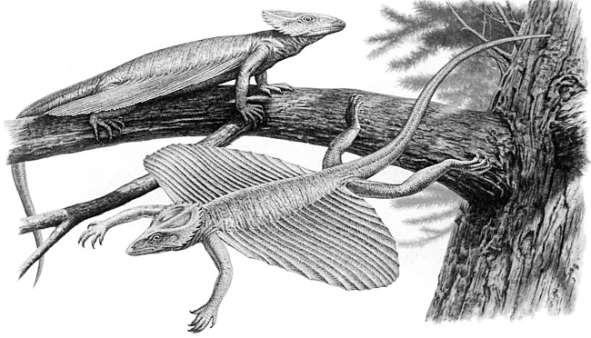Иллюстрация к книге — Краткая история динозавров [i_050.jpg]