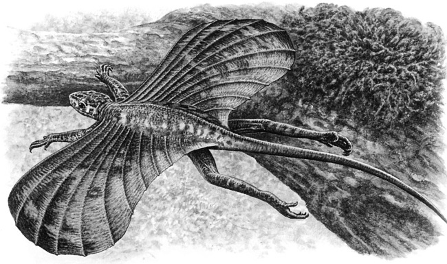 Иллюстрация к книге — Краткая история динозавров [i_051.jpg]