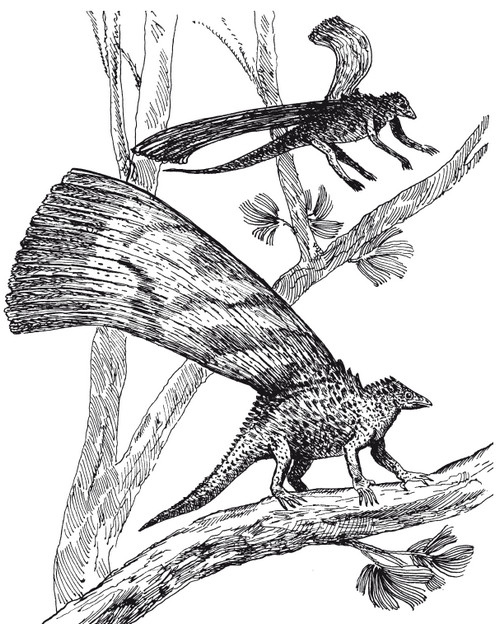 Иллюстрация к книге — Краткая история динозавров [i_052.jpg]