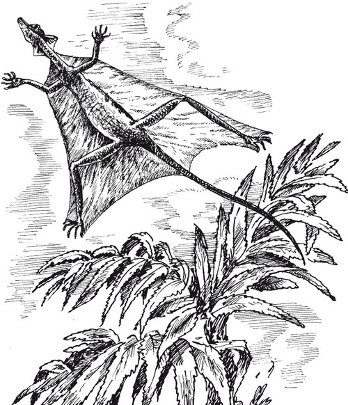 Иллюстрация к книге — Краткая история динозавров [i_053.jpg]