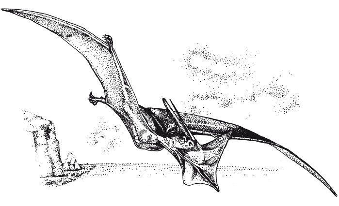 Иллюстрация к книге — Краткая история динозавров [i_054.jpg]