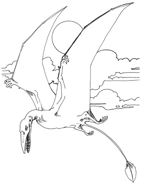 Иллюстрация к книге — Краткая история динозавров [i_058.jpg]