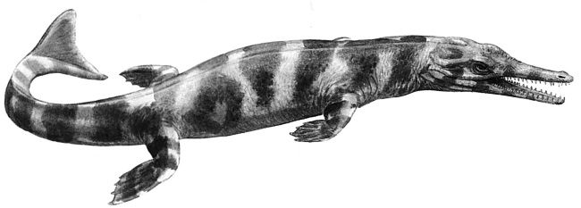 Иллюстрация к книге — Краткая история динозавров [i_060.jpg]