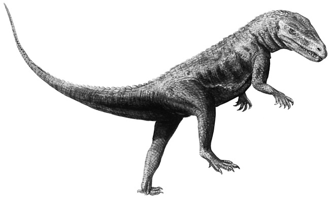 Иллюстрация к книге — Краткая история динозавров [i_064.jpg]