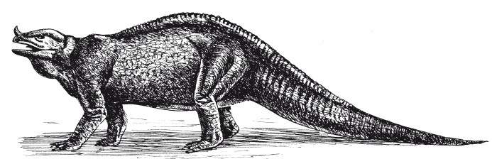 Иллюстрация к книге — Краткая история динозавров [i_066.jpg]