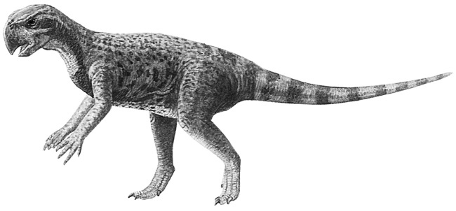 Иллюстрация к книге — Краткая история динозавров [i_070.jpg]