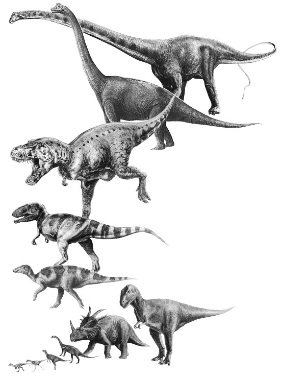 Иллюстрация к книге — Краткая история динозавров [i_072.jpg]