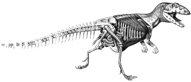 Иллюстрация к книге — Краткая история динозавров [i_075.jpg]
