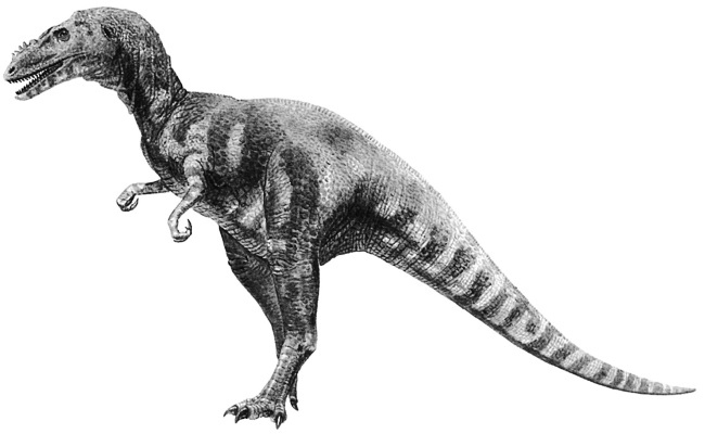 Иллюстрация к книге — Краткая история динозавров [i_081.jpg]