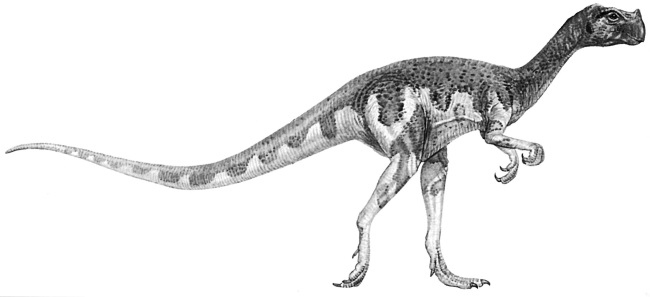 Иллюстрация к книге — Краткая история динозавров [i_095.jpg]