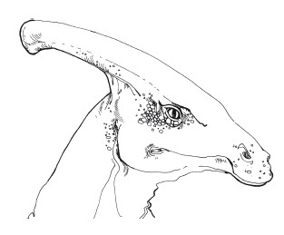 Иллюстрация к книге — Краткая история динозавров [i_116.jpg]