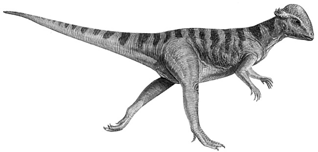 Иллюстрация к книге — Краткая история динозавров [i_117.jpg]