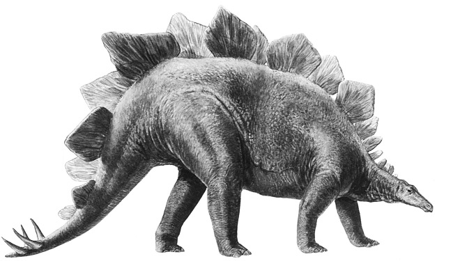 Иллюстрация к книге — Краткая история динозавров [i_118.jpg]