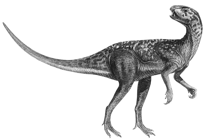 Иллюстрация к книге — Краткая история динозавров [i_121.jpg]